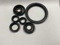 oil seal set